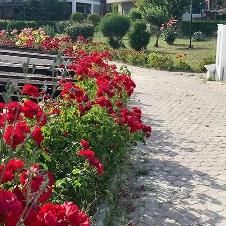 Peaceful Sea Front. 3 Bedrooms House W/ Basement. فيلة *